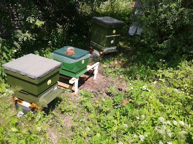 Včelařství Fotopulos